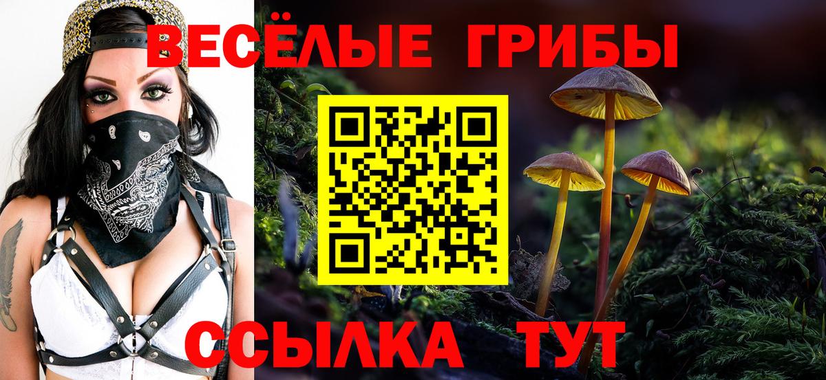 Ртищево  Псилоцибиновые грибы GOLDEN TEACHER  Псилоцибиновые грибы Psilocybe  Вход с VPN 