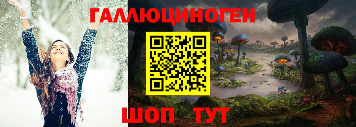 Галлюциногенные грибы Psilocybe Ртищево